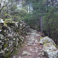 Photo de france - La randonnée du Mont Caroux